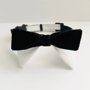 May include: A black velvet bow tie with white collar tips. The bow tie is attached to a black adjustable collar.