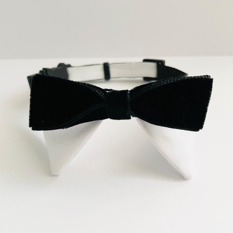 May include: A black velvet bow tie with white collar tips. The bow tie is attached to a black adjustable collar.