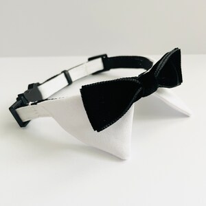 May include: A white and black pet collar with a black velvet bow tie.