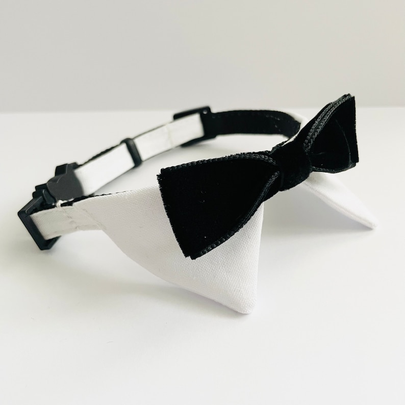 May include: A white and black pet collar with a black velvet bow tie.