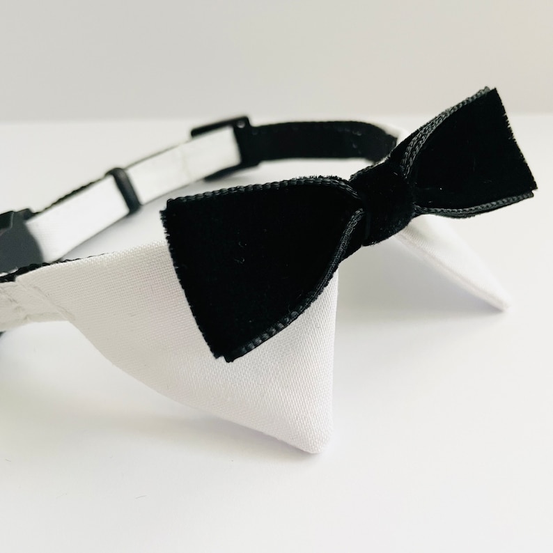 May include: A white and black bow tie collar for a pet. The bow tie is made of black velvet and the collar is white.