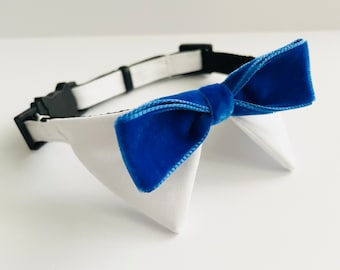 Tuxedo Cat Shirt Collar Royal Blue Velvet Bow Tie, Tuxedo Cat Collar, Breakaway Collar, Quick Release Collar, Cat Safety Collar