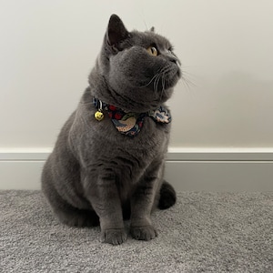 May include: A gray British Shorthair cat wearing a colorful patterned bow tie with a bell.