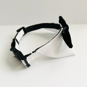 May include: A black and white dog collar with a black bow tie. The collar is made of a black fabric with a white trim. The bow tie is made of a black velvet fabric.