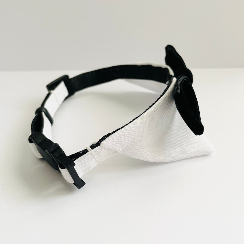May include: A black and white dog collar with a black bow tie. The collar is made of a black fabric with a white trim. The bow tie is made of a black velvet fabric.