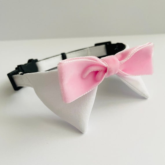 Tuxedo Cat Shirt Collar Light Pink Velvet Bow Tie, Tuxedo Cat Collar, Breakaway Collar, Quick Release Collar, Cat Safety Collar