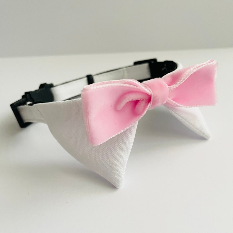 May include: A white dog collar with a pink velvet bow tie. The collar is made of black fabric and has a buckle closure.