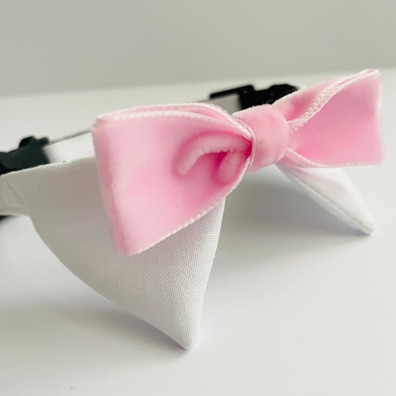 May include: A white dog collar with a pink velvet bow tie.