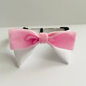 May include: A pink velvet bow tie with white fabric wings. The bow tie is attached to a black adjustable collar.