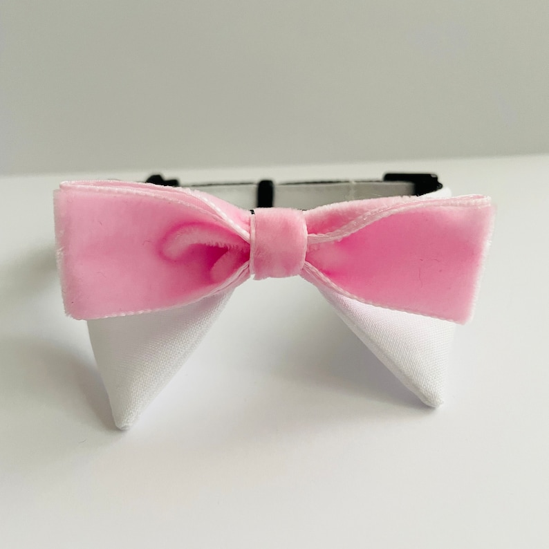 May include: A pink velvet bow tie with white fabric wings. The bow tie is attached to a black adjustable collar.