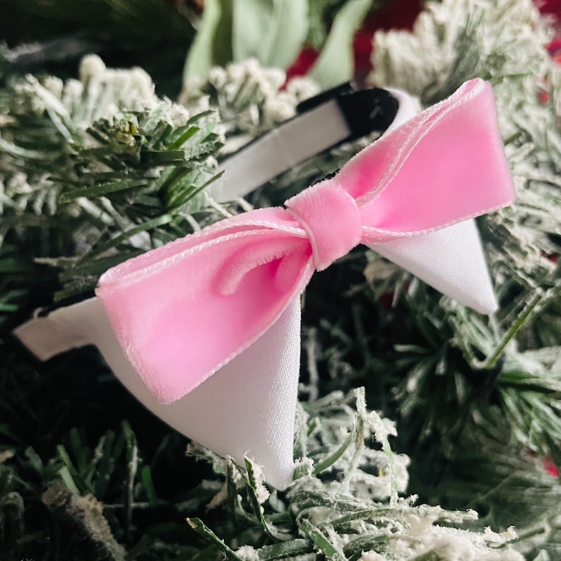 May include: A pink velvet bow with white collar, a festive accessory for pets.