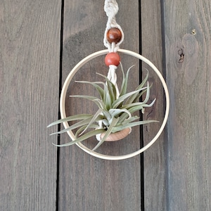 May include: A wooden hoop with a macrame hanger and air plant. The hoop is decorated with brown and red beads.