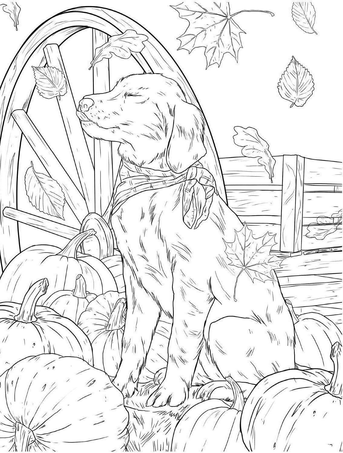 Pumpkins, Dogs, and Leaves! Perfect! Digital Coloring Page. Adult ...