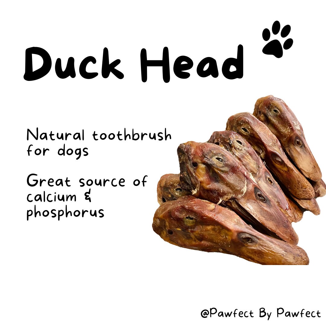 Are Duck Heads Good For Dogs