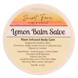 Lemon Balm Salve Herbal Balm Skin Body Care Ointment 2 oz