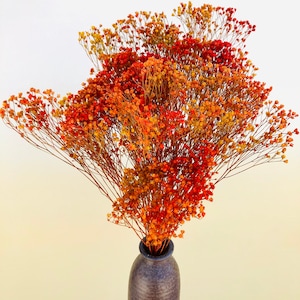 Colorful Dried Flowers, Bouquet, Accent Home Decor, Arrangement, Autumn Colorful Everlasting Florals, Fall Broom Bloom,