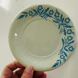 May include: A small, off-white plate with a blue floral design around the rim. The plate is round and appears to be made of ceramic or porcelain. The floral pattern consists of stylized flowers and leaves.