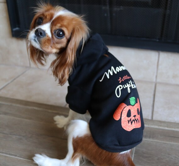 Doggo sweater cheap