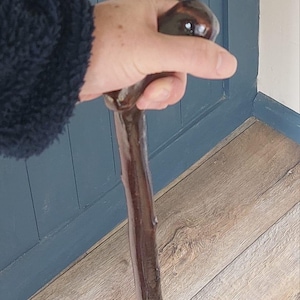 Op de afbeelding: Een donkerbruine houten wandelstok met een gladde, gepolijste afwerking en een natuurlijke, licht onregelmatige, knoestige textuur langs de schacht. Het handvat is rond en bolvormig, met een glanzend, reflecterend oppervlak dat de houtnerf benadrukt.