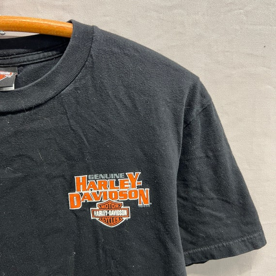 Large / Vintage Harley Davidson Viking Land Minnesota… Gem