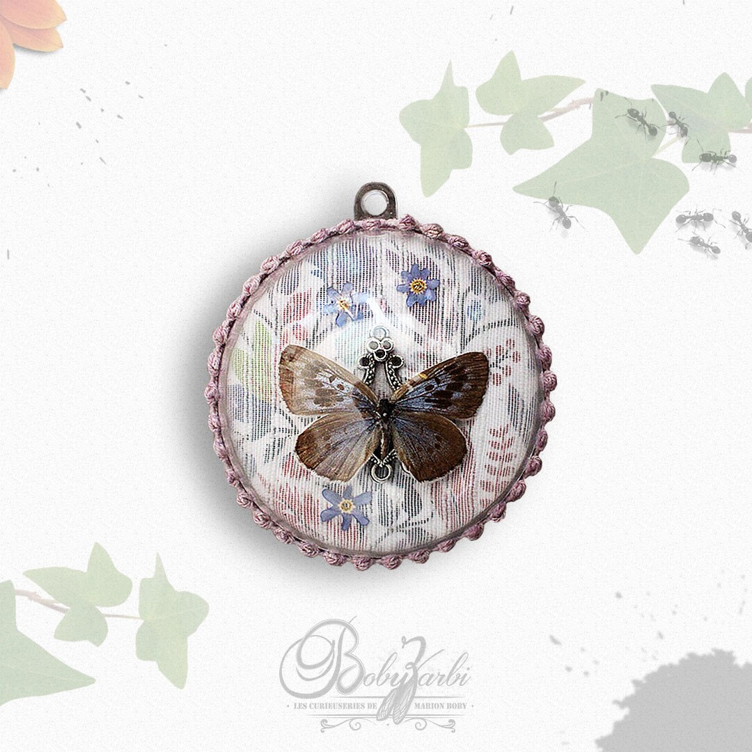 Demi Boule Plastique à Accrocher Papillon Phengaris Arion