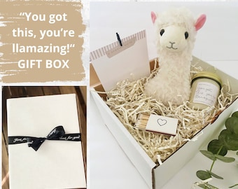 Encouragement Gift, Llama Gift, College Care Package, Sending You Sunshine Box, Sending You A Hug, Sending You Love Gift Box