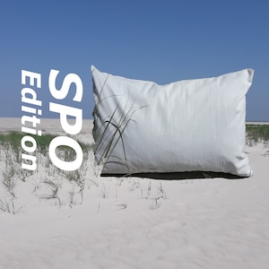 May include: A white pillow with a green plant in the background. The text "SPO Edition" is in the foreground.