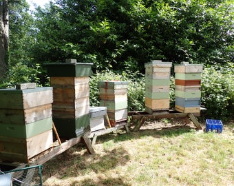 Local Honey Northern Ireland Mourne Irish Honey
