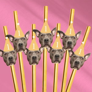 Pet Photo Party hat straws for milestone dog birthday photos party hat custom straws party decoration pet photo on straw customized birthday