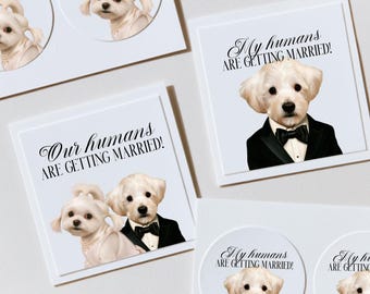 Custom Pet Bride & Groom Portrait Stickers, Personalized Wedding Favor Labels