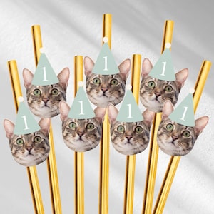 Cat Photo Party hat straws for milestone pet birthday photos party hat custom straws party decoration cat photo on straw customized birthday