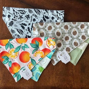 Small Dog Bandana