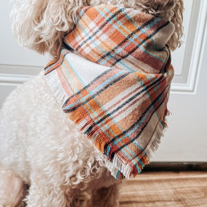 Scarecrow | Flannel Plaid with Frayed Edges | Pet Bandana