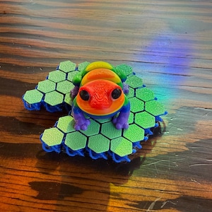 May include: A rainbow-colored frog figurine sitting on a green honeycomb-shaped base. The base is made of plastic and has a blue border.