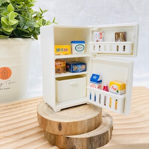 Mini Refrigerator Magnet - Mini Fridge Magnet - Mini Doll - Doll House Furniture