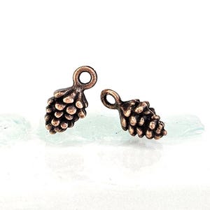 May include: Two small, bronze-colored pinecone charms with a loop at the top for jewelry making. The charms have detailed textures and are set against a white background.