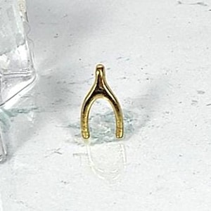 May include: A small, gold-colored wishbone charm. The charm is made of a shiny metal and has a smooth surface. The wishbone is a classic symbol of luck and good fortune.