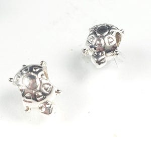 May include: Two silver turtle charms. Each charm features a detailed shell design with a textured pattern and small legs and head. The charms are on a white background.