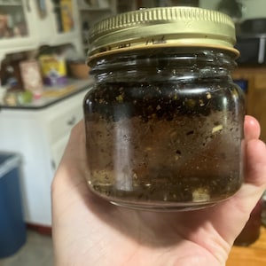 Elderberry Glycerin Tincture (Alcohol Free)