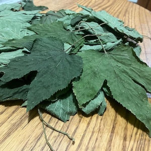 Dried Wild Hops