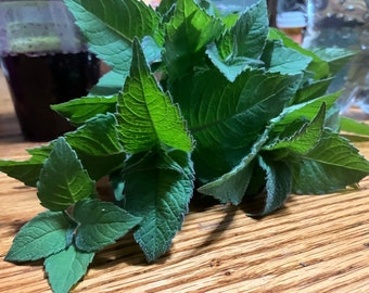 Dried Bee Balm