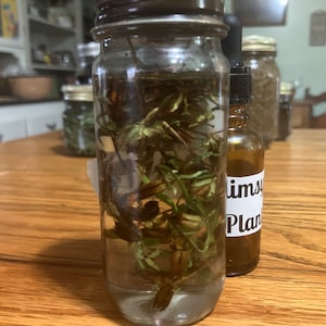 St. John’s Wort Glycerin Tincture (Alcohol Free)
