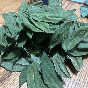 May include: A pile of dried green leaves with visible veins, resting on a wooden surface. The leaves are various sizes and shapes, with a few larger leaves visible in the background. The leaves appear to be a natural product.