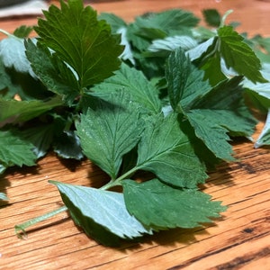May include: A close-up of fresh green leaves with serrated edges, possibly herbs or leafy greens, arranged on a wooden surface. The leaves have a vibrant green color with a lighter, almost silvery underside. The wooden surface has a warm, natural tone.