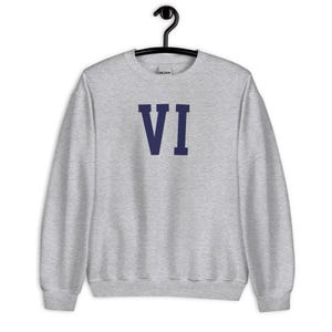 VI Embroidered Unisex Sweatshirt