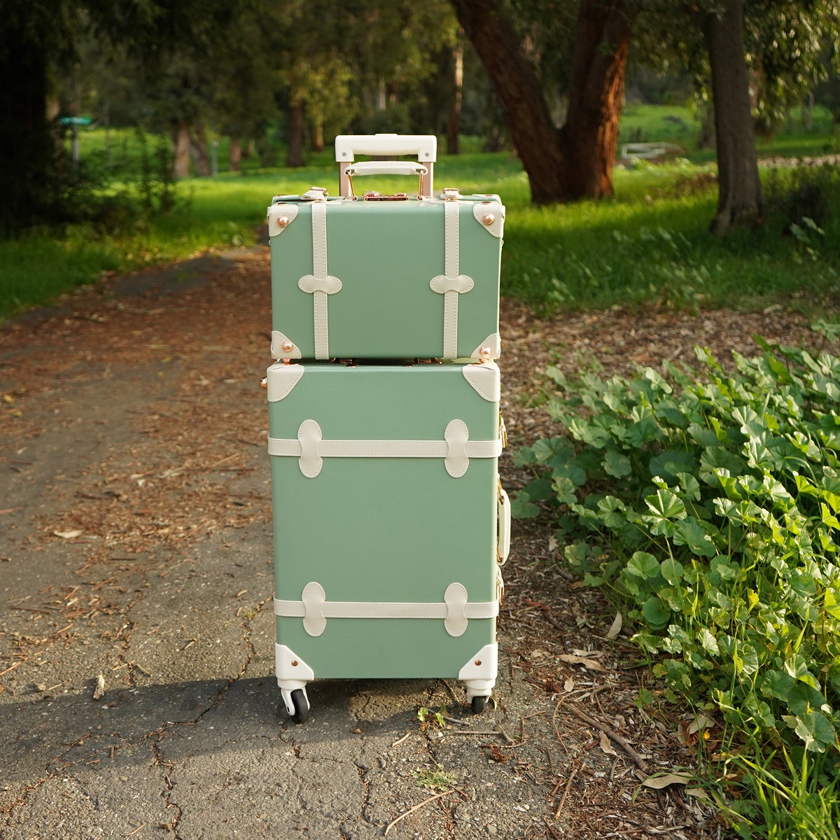 Personalized Vintage Style Suitcase for Women, Luggage Set With Wheels and Combo or TSA Locks, Bag With Spinner Wheels, World Traveler Gift - Etsy