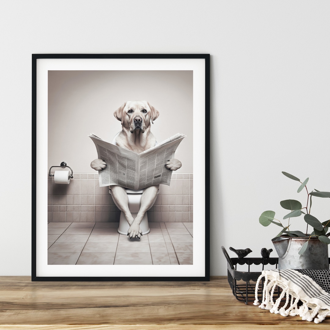 Labrador Retriever, Sitting on the Toilet, Reading Newspaper, Funny ...