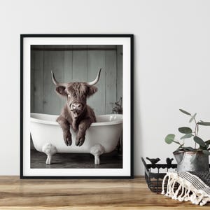 Skotsk höglandsko, sittande i badkaret, roligt djurfotografi, rolig badrumsväggkonstposter, utskrivbar, omedelbar nedladdning, digital AI-konst