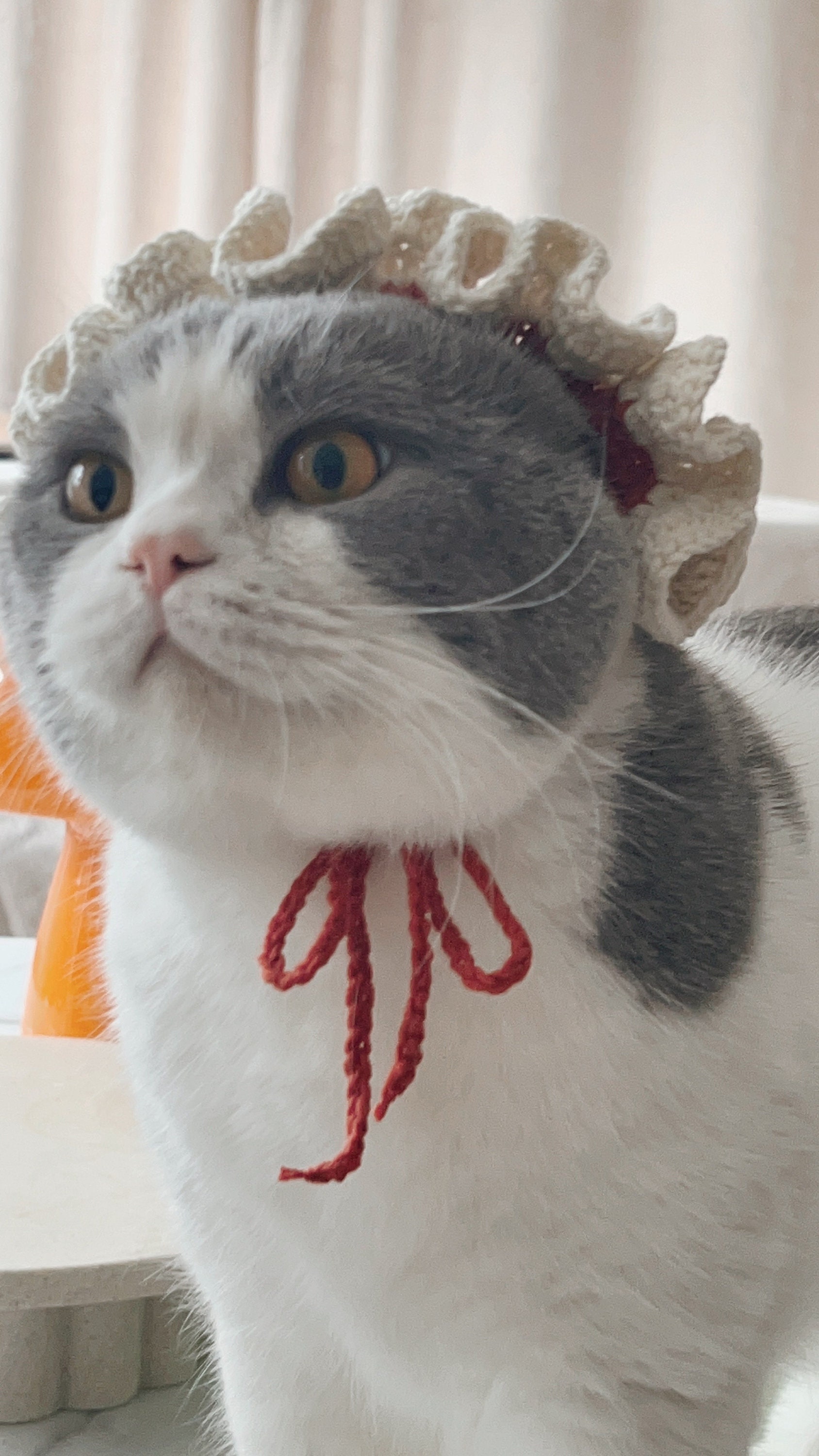 Crochet Pattern | Pet Ruffle Beret Hat | Cat/dog | How to Crochet ...