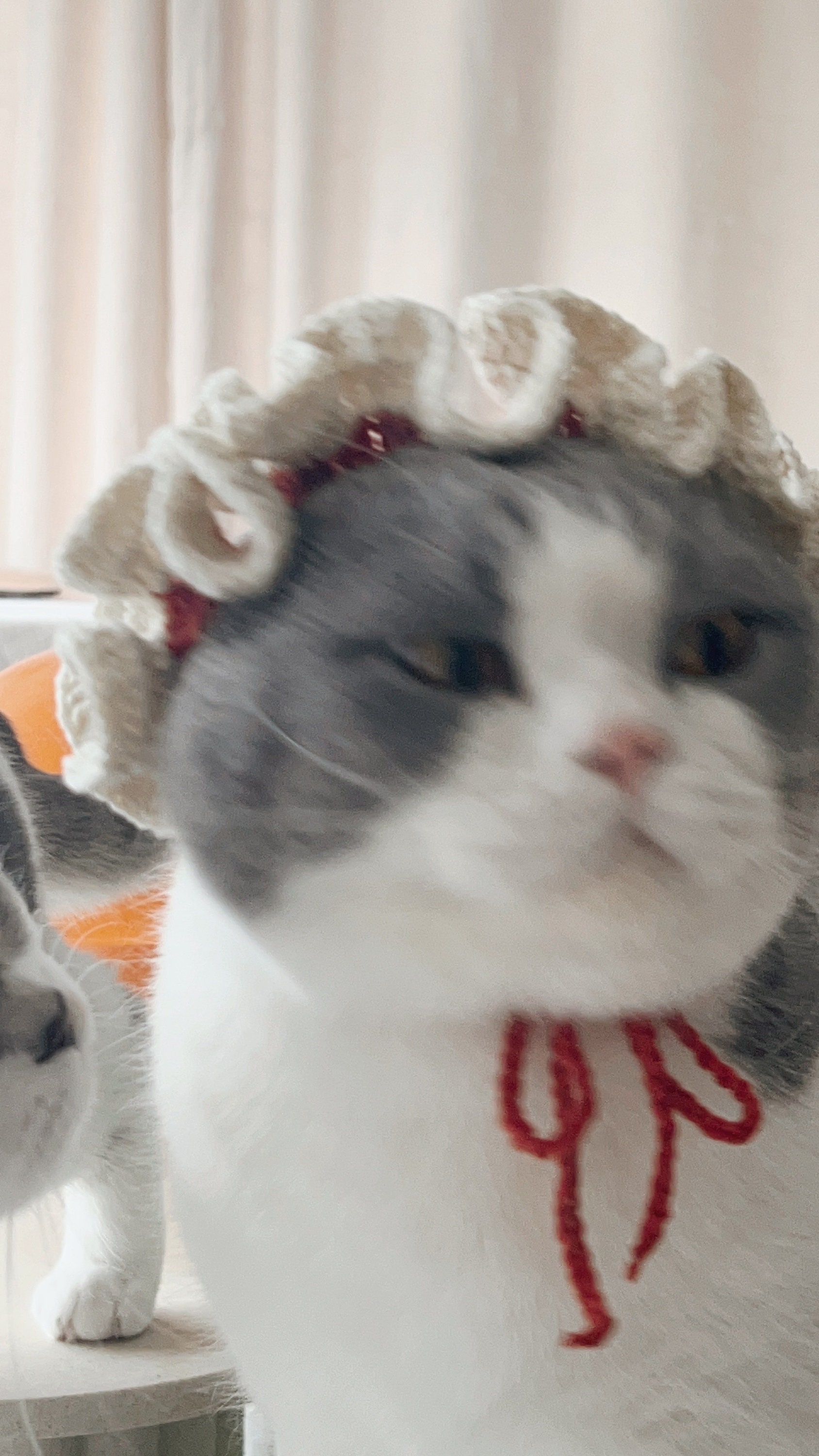 Crochet Pattern | Pet Ruffle Beret Hat | Cat/dog | How to Crochet ...